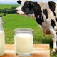 О рекомендациях по выбору молока