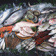 О рисках, связанных с употреблением рыбы и рыбной продукции