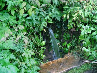 Пить сырую воду из родников небезопасно