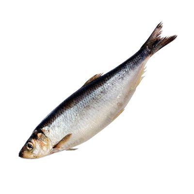 О рисках, связанных с употреблением рыбы и рыбной продукции