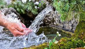 Управлением Роспотребнадзора по Амурской области продолжается мониторинг качества воды из родников.