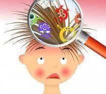 О профилактике педикулеза