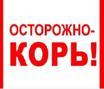 ВНИМАНИЕ КОРЬ!