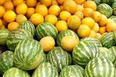 О результатах мониторинга за безопасностью плодоовощной продукции