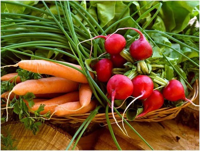 Питание по сезону. Овощи мая