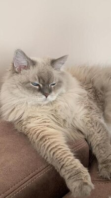 Что сделать, чтобы, наконец, выспаться? 