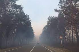 О задымлении в Серышевском районе на 06.04.2022