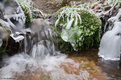 О качестве воды родников