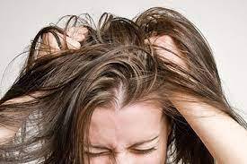 О профилактике педикулеза