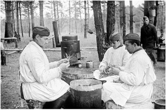 Санитарно-эпидемиологическая служба в период Великой Отечественной войны 1941-1945 годах.
