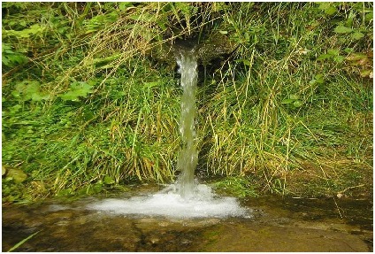 О качестве воды родников