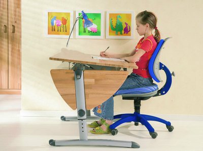 Рекомендации родителям по подготовке детей к школе: порядок организации рабочего места школьника