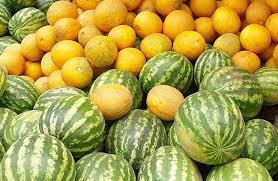 Рекомендации по выбору и покупке бахчевых культур