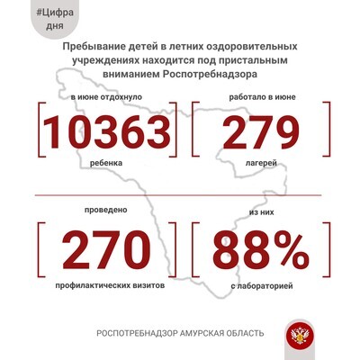 Предварительные итоги проведения первой смены в организациях отдыха детей и их оздоровления в Амурской области