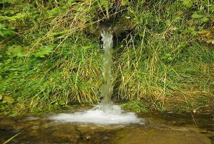 О качестве воды родников
