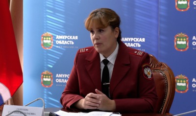 В правительстве Амурской области прошла  пресс-конференция  об организации предновогодних праздников для детей 