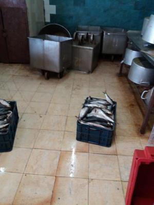 На 90 суток приостановлена деятельность рыбного цеха  ИП Мехедовой Н.Н