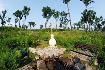 «Качество воды в родниках в условиях паводка».