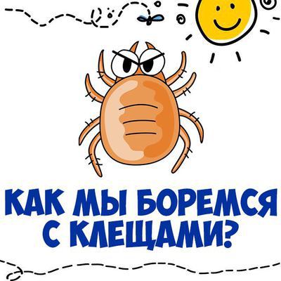 Летний отдых – без клещей. Идёт обработка территорий