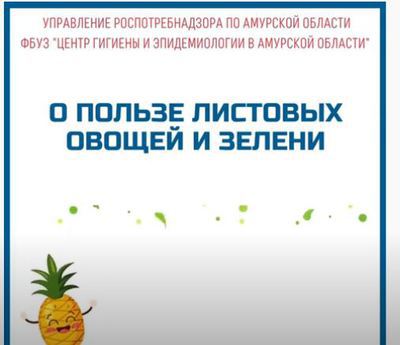 О пользе листовых овощей и зелени