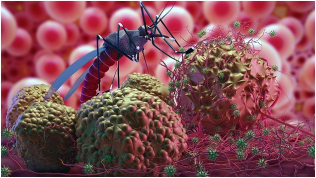 О Всемирном дне борьбы с малярией