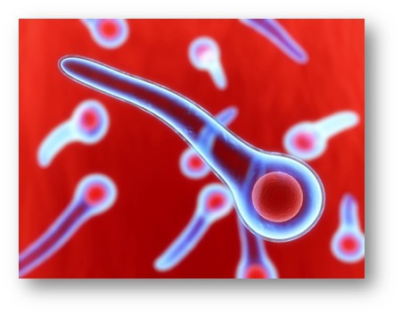 О профилактике столбняка