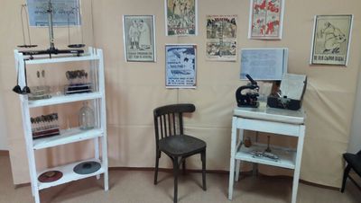 Во время гуляния по Большой в честь дня рождения города Благовещенска, реконструированы события 1902 года, где горожане могли ознакомиться с историей санитарной службы Амурской области