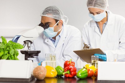 Безопасность в питании