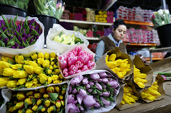 О рекомендациях, как правильно выбрать живые цветы