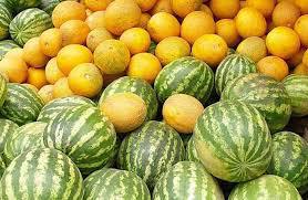 Об исследовании бахчевых, сезонных фруктов и зелени, их пользе - в проекте Роспотребнадзора и РИА Новости «Выбирай с Роспотребнадзором»