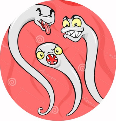 Пришло время для профилактических обследований на паразитарные заболевания.