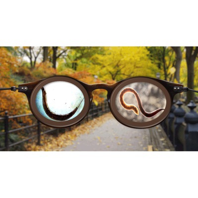 XI молодежная акция «Радуга здоровья»