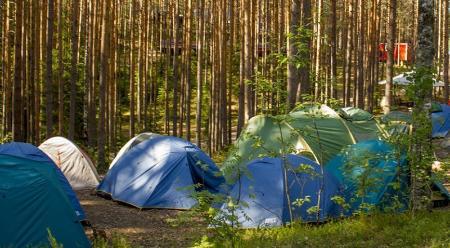 О несанкционированных детских оздоровительных лагерях 