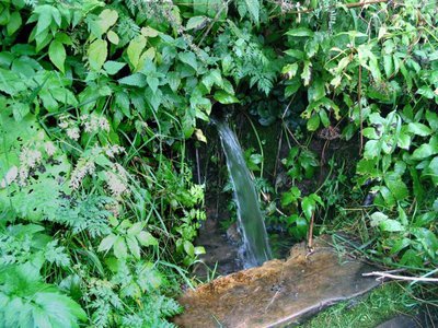 О качестве воды родников в августе 2018 г.