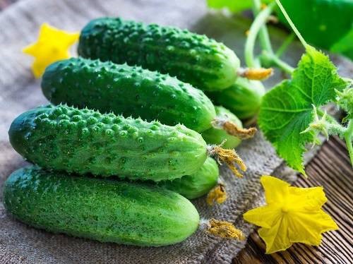 Огурцы – польза при минимуме калорий