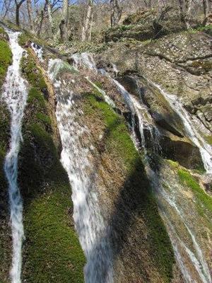 О качестве воды в родниках