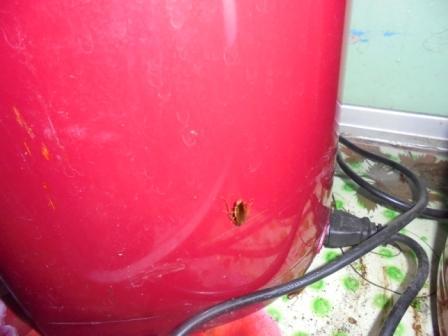 Об административном приостановлении деятельности  по предоставлению услуг общественного питания населению в буфете индивидуального предпринимателя Прошян К. Р.