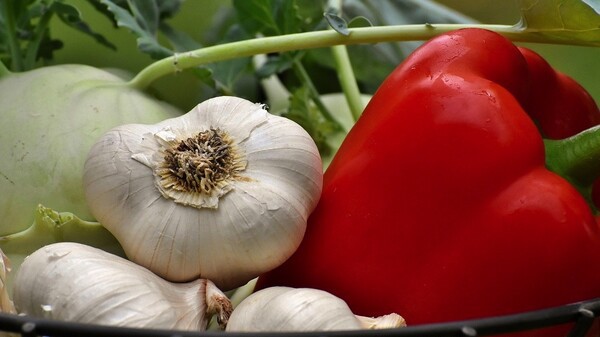 О рекомендациях по гигиене продуктов питания