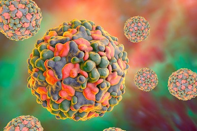 О профилактике инфекции, вызванной вирусами Коксаки