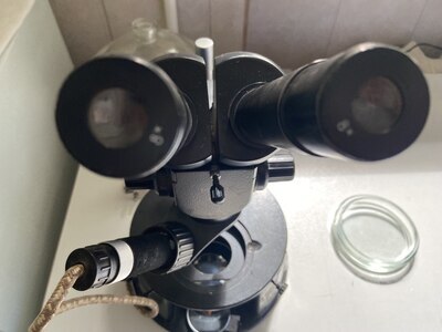 Антибиотики и пневмония: что показали наши исследования 