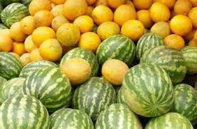 Рекомендации по выбору и покупке бахчевых