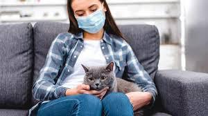 Об основных принципах карантина в домашних условиях