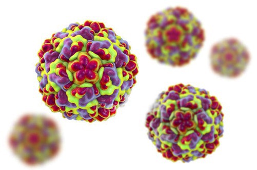 Информационный бюллетень о ситуации и принимаемых мерах по недопущению распространения заболеваний, вызванных новым коронавирусом