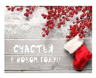  Поздравление руководителя Управления Роспотребнадзора по Амурской области с Новым 2022 годом