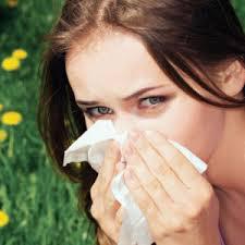 О рекомендациях в период поллиноза или сезонной аллергии