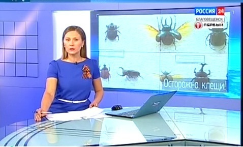 Специалисты Роспотребнадзора рассказали, как защититься от атаки клещей