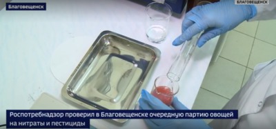 Управление Роспотребнадзора провело мониторинг качества бахчевых и плодоовощной продукции, реализуемых на Амурском крестьянском центре 