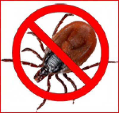 Эпидемиологическая ситуация по инфекциям, передающимся клещами