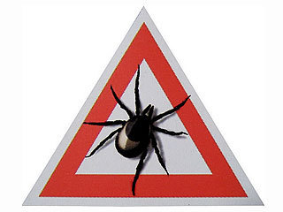 Эпидемиологическая ситуация по инфекциям, передающимся клещами