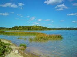 О рекомендациях как выбрать водоем для купания